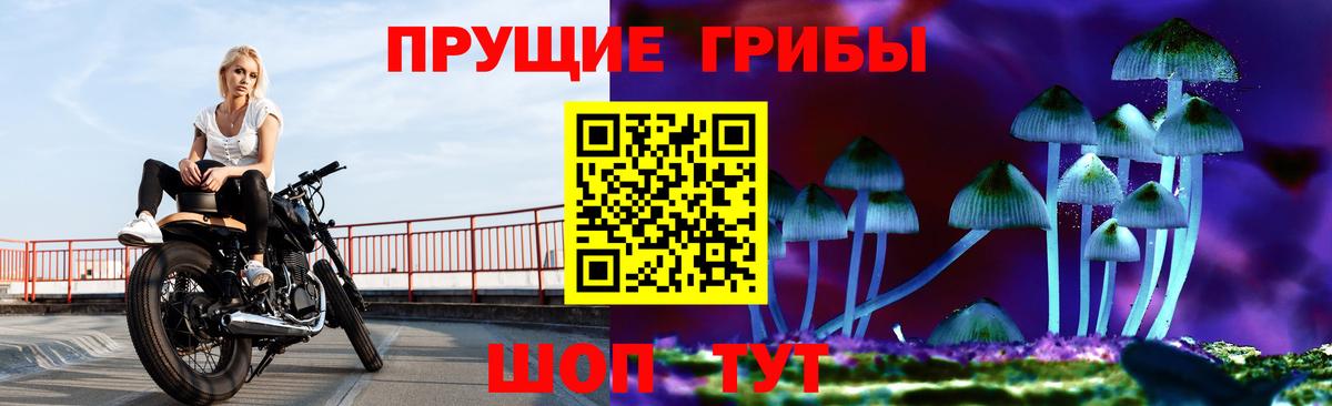 Дальнегорск  Псилоцибиновые грибы MAGIC MUSHROOMS  где можно купить наркотик  Вход с VPN 